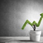 Why Preschool Franchises are a Profitable Business Option