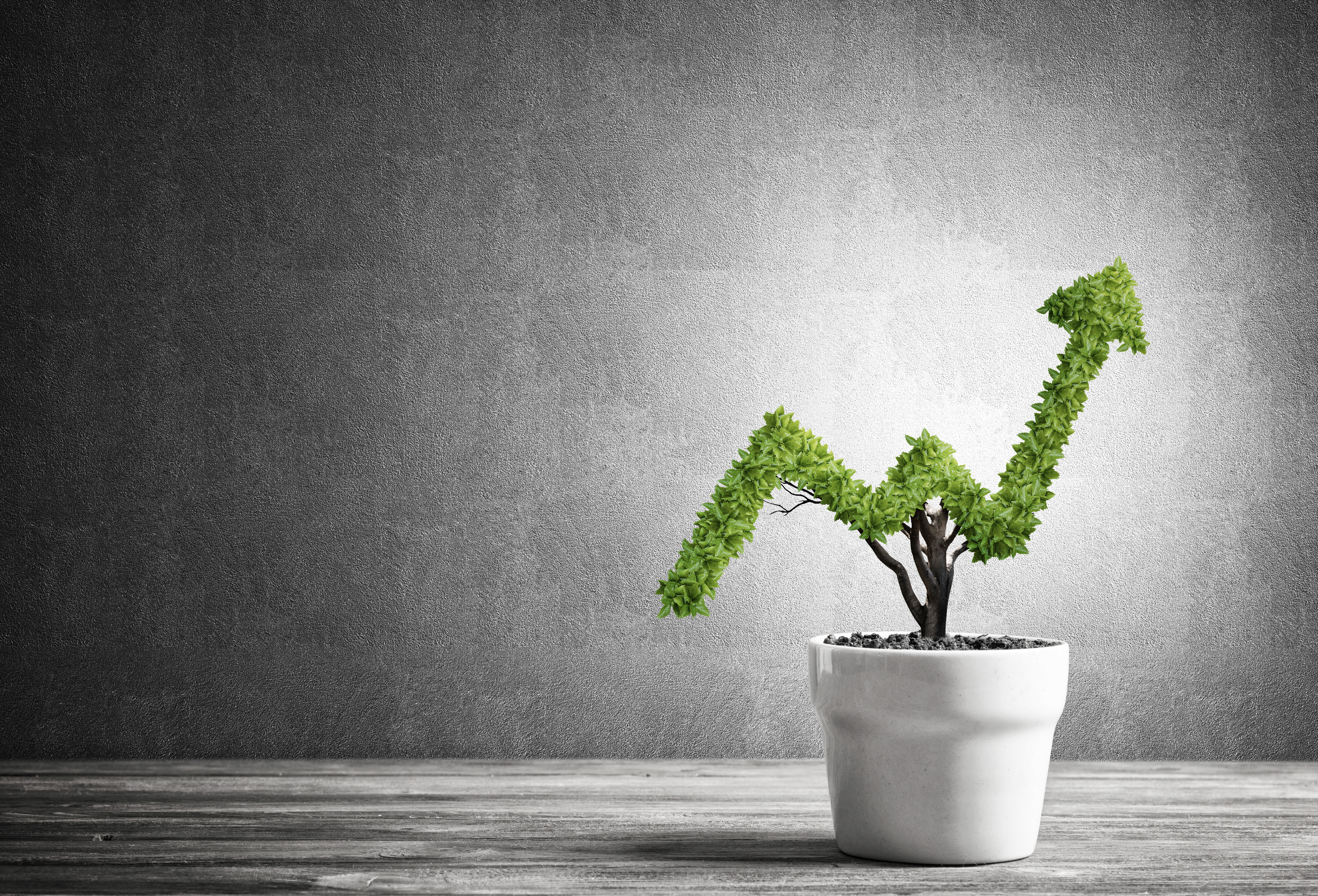 Reasons Why Preschool Franchise is Profitable for Business Option