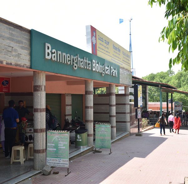 bangalore