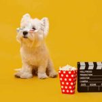 dog-movies