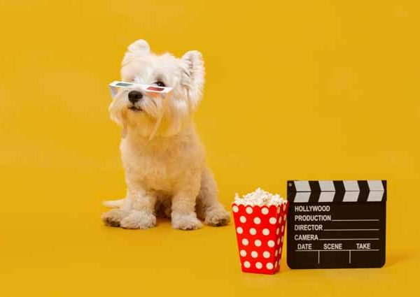 Top 10 Best Dog Movies For Kids