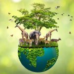 Explaining Biodiversity to Kids