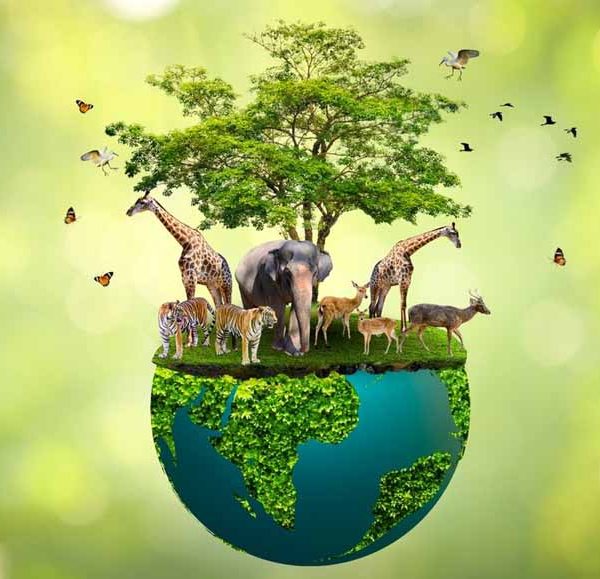 What is Biodiversity & Its importance?