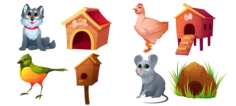 Learning about Animal Homes- A Fun and Educational Journey for Kids