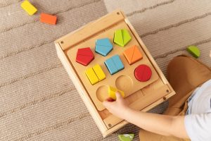 Shaping Bright Minds- 10 Benefit of Introducing Shape Sorting Toys for 2-Year Olds