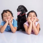 Amazing Ways to Teach Preschoolers about Interacting With Animals