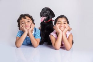 Amazing Ways to Teach Preschoolers about Interacting With Animals