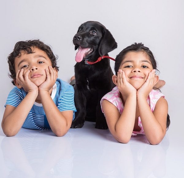 Amazing Ways to Teach Preschoolers about Interacting With Animals