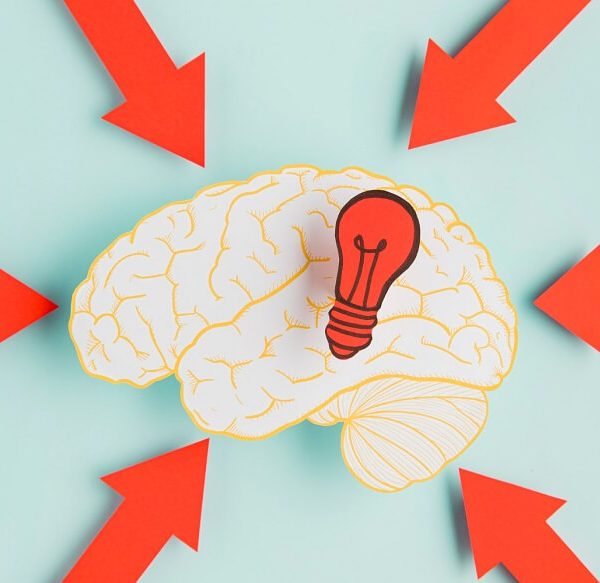 brain-facts