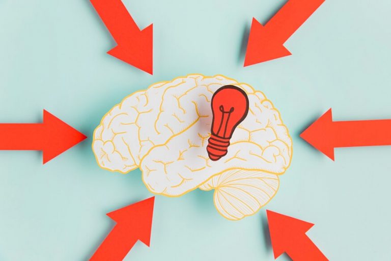 brain-facts