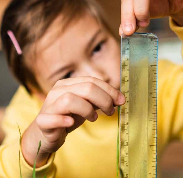 Photosynthesis – Definition, Process, Impacts & Facts