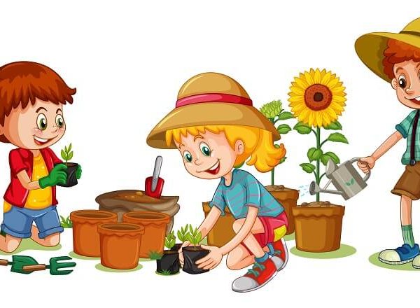 Preschool Gardening Projects and Nature Exploration