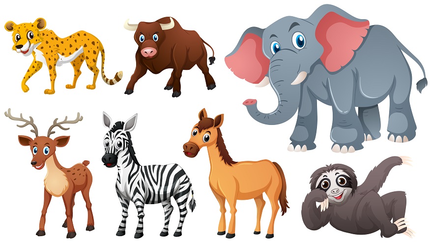 types-of-animals