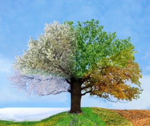 Teaching Toddlers About The Seasons And Weather