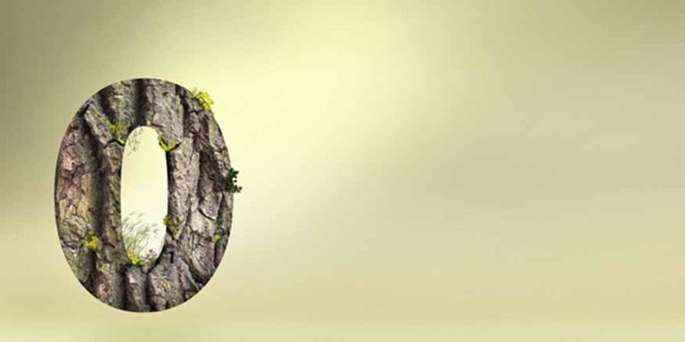 The Discovery Of Zero