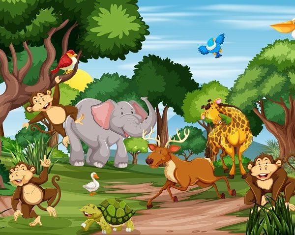 animal-kingdom