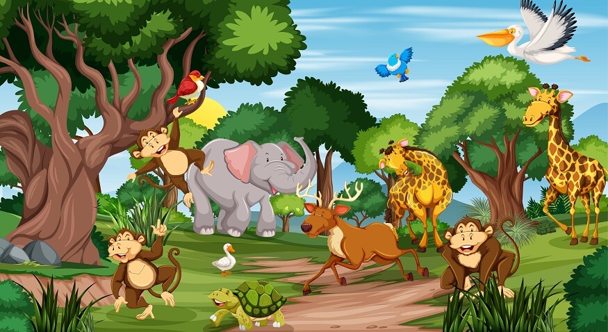 animal-kingdom