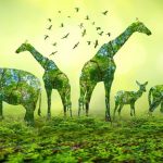 exploring-the-living-world