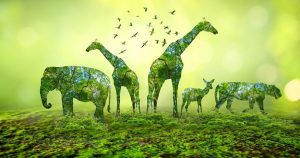 exploring-the-living-world