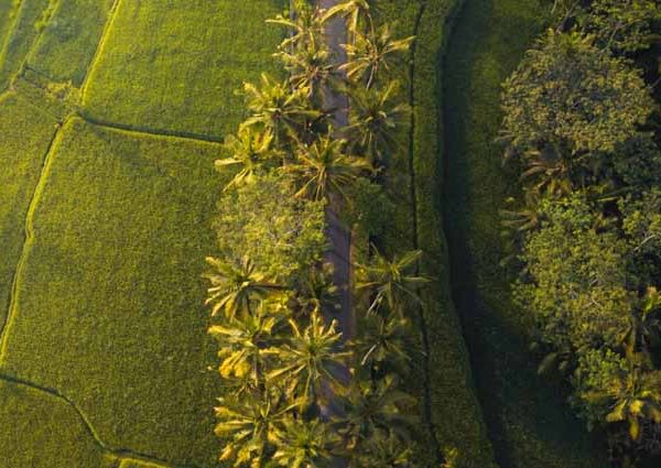 kerala