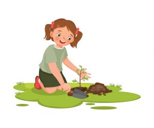 planting-trees