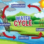 what-is-the-water-cycle