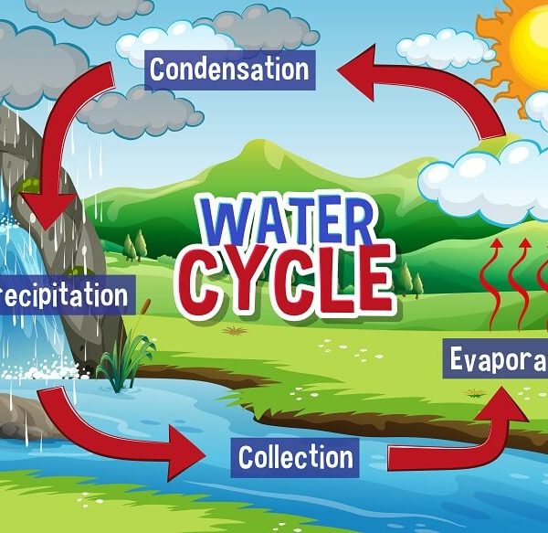 what-is-the-water-cycle