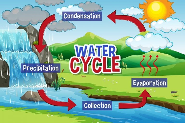 what-is-the-water-cycle