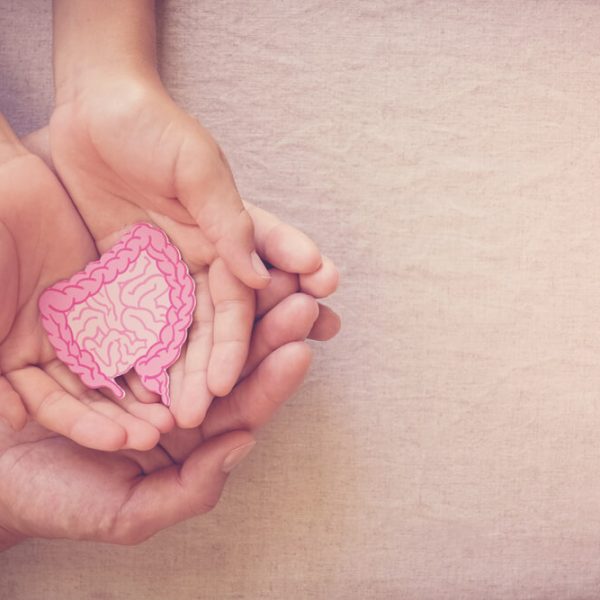 Exploring the Digestive System for Children