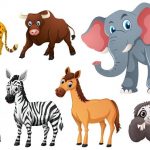 discovering-mammals