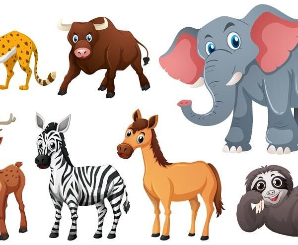 discovering-mammals