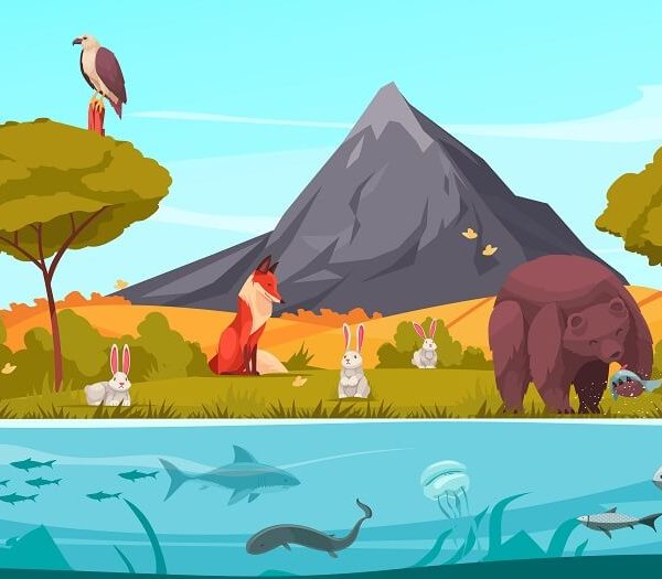 ecosystems-types-functions-importance