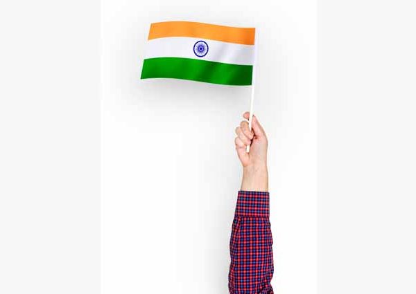 essay-on-freedom-fighters