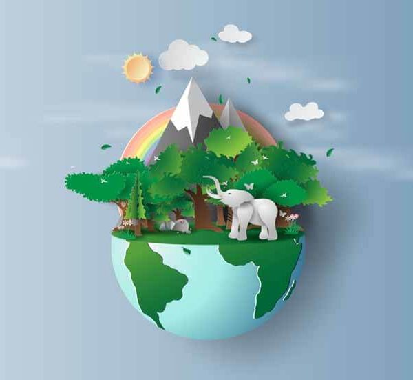 Connecting Kids to Nature: Guru Granth Sahib’s Teachings
