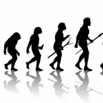 history-of-human-evolution