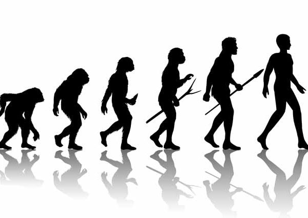 history-of-human-evolution