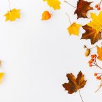 leaf-characteristics