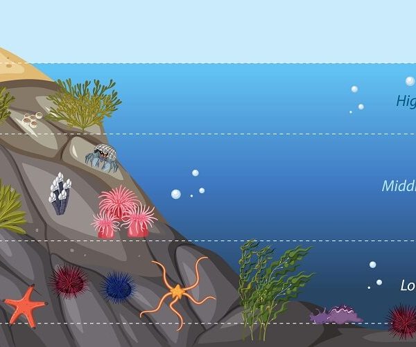 ocean-zones