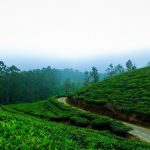 places-to-visit-in-chikmagalur