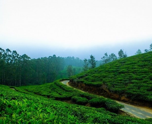 places-to-visit-in-chikmagalur