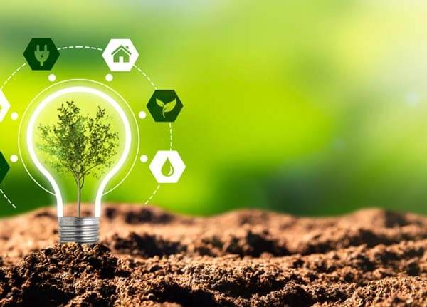 Renewable Energy and Types of Renewable Energy for Kids