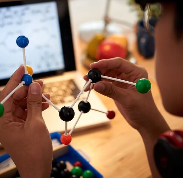 Fun Science Games for Kids At Home