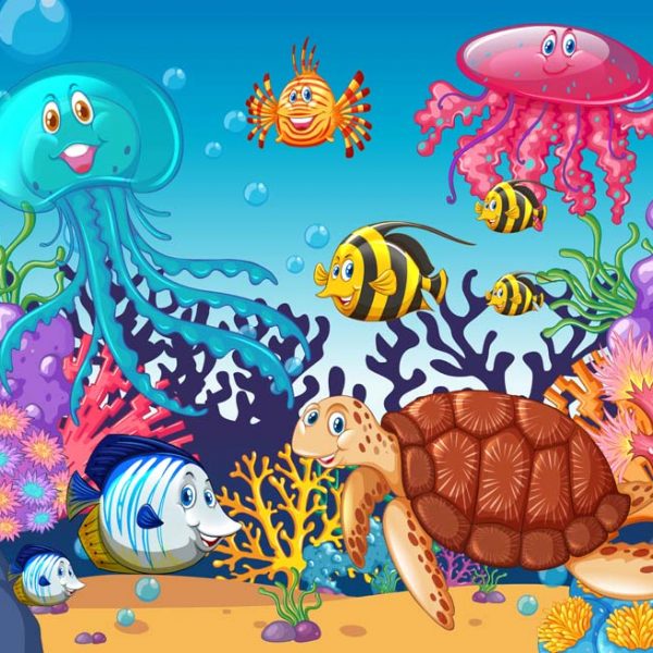 Exploring Ocean Layers and Sea Creatures: A Fun Science Adventure for Kids