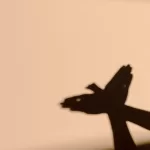 shadow-play-and-light-exploration