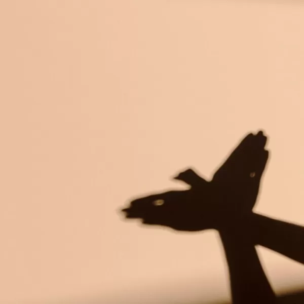 Shadow Play and Light Exploration: Lеarning About thе Sun’s Effеcts