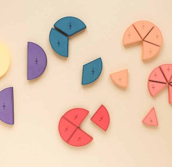 Understanding Fractions: Explanation, Varieties, Characteristics, and Illustrations