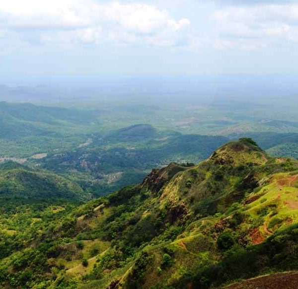 Exploring the Enchanting Western Ghats: Facts, Wildlife, and Family Adventures