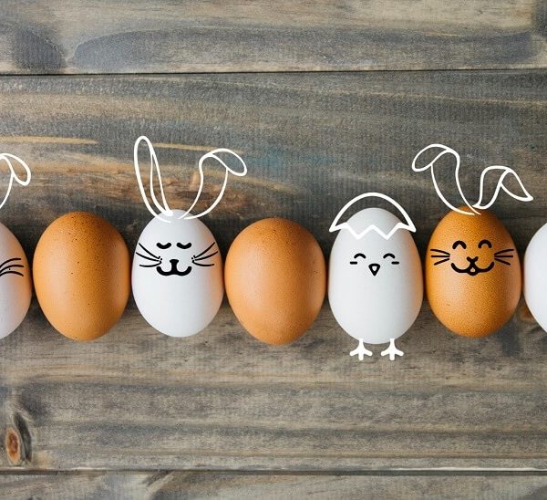 World Egg Day – Facts about eggs