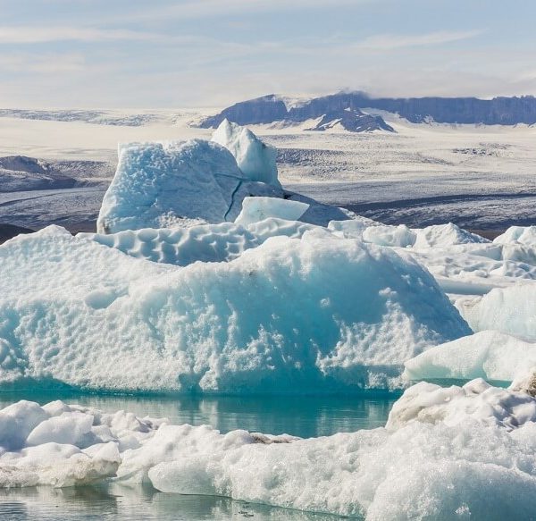 Cool Facts About Antarctica: A Kid’s Guide to the Frozen Continent