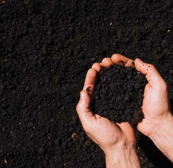 What are Different Types of Soils and their Characteristics?